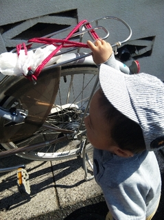 2012.11.07 003b.jpg