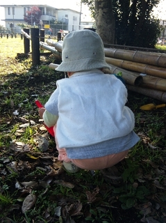 2012.11.07 004b.jpg
