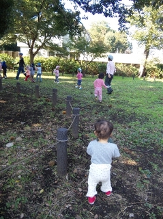 2012.11.07 023b.jpg