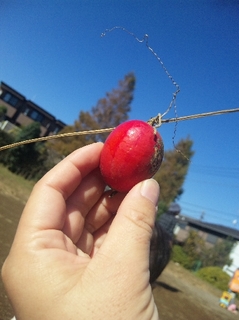 2012.11.08 016b.jpg