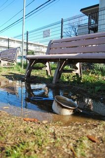 20151211 (142)b.jpg
