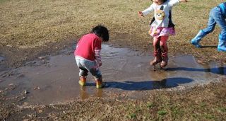 20151211 (161)b.jpg