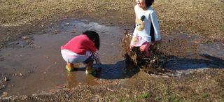 20151211 (162)b.jpg