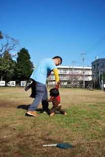 20151211 (331)b.jpg