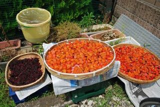 20170719 (101)b.jpg