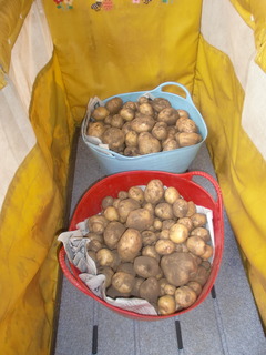 20250620 (137).JPG
